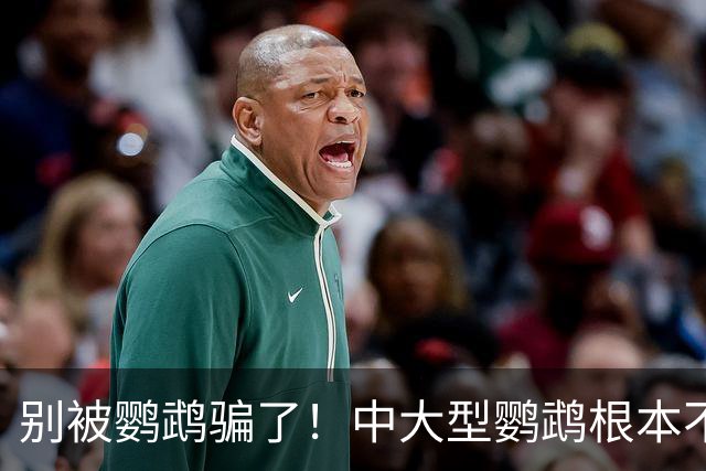 别被鹦鹉骗了！中大型鹦鹉根本不是宠物，是会飞的野生猛禽！
